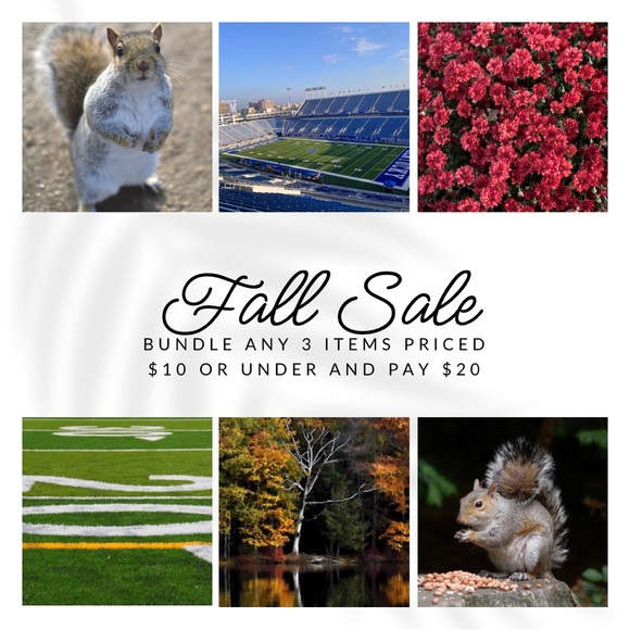 Silver Metal Tree with Battery Powered Lights - Excellent Preowned Condition - Picture 3 of 3